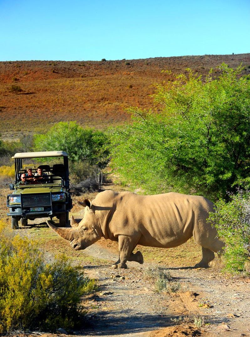 Suedafrika_B-Pirschfahrt-Naturreservat